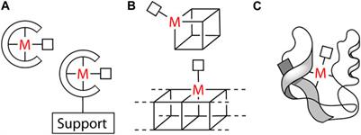 Speciality Grand Challenges in Organometallic Catalysis